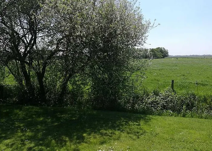 Jacoby * Horumersiel